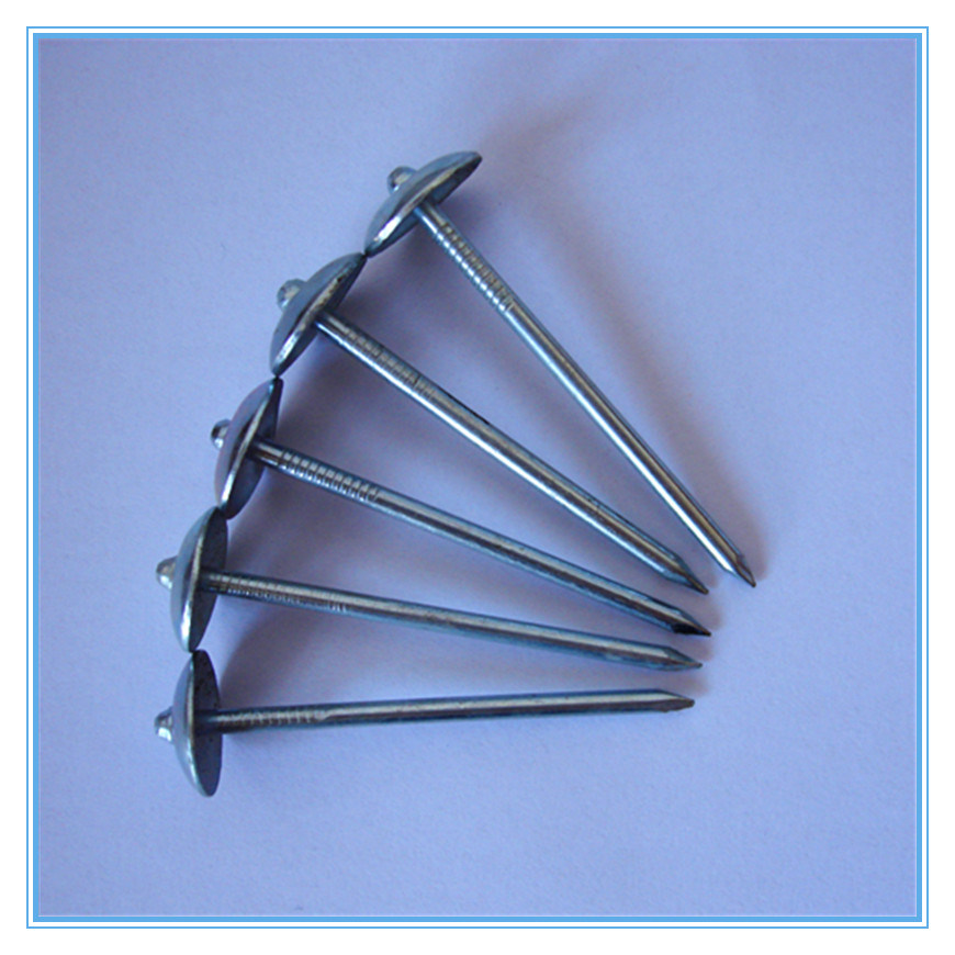 Galvanized Umbrella Head Roofing Nail