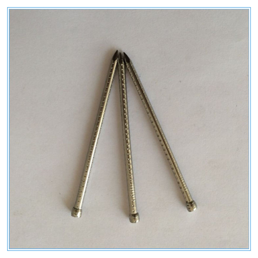 Stainless Steel nail