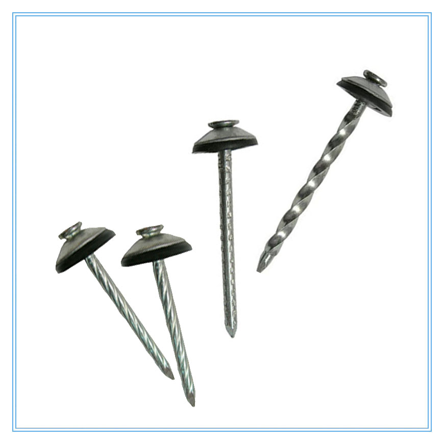 Roofing screw nail